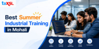 Best Summer Industrial Training to Boost Your Career