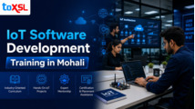 Why IoT Software Development Training Is the Best Career Choice for Future Developers?