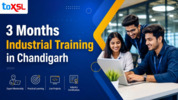 Why 3 Months Industrial Training in Chandigarh Is the Best Choice for IT Students?